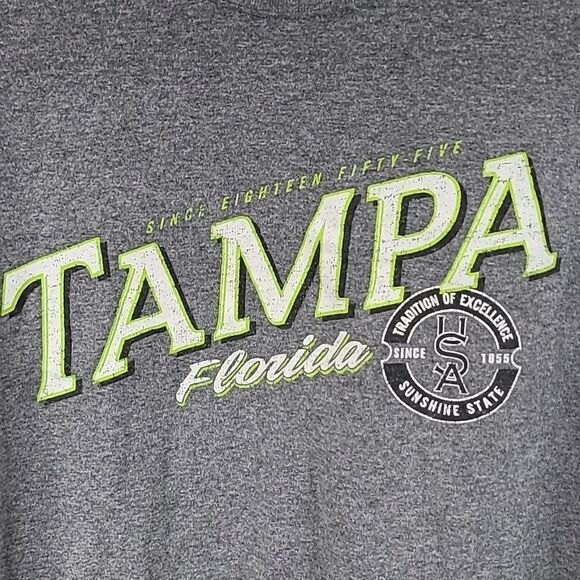 Men's Basic Graphic Print Tee - Gray Tampa Florida Sunshine State T-Shirt Large - Picture 2 of 3